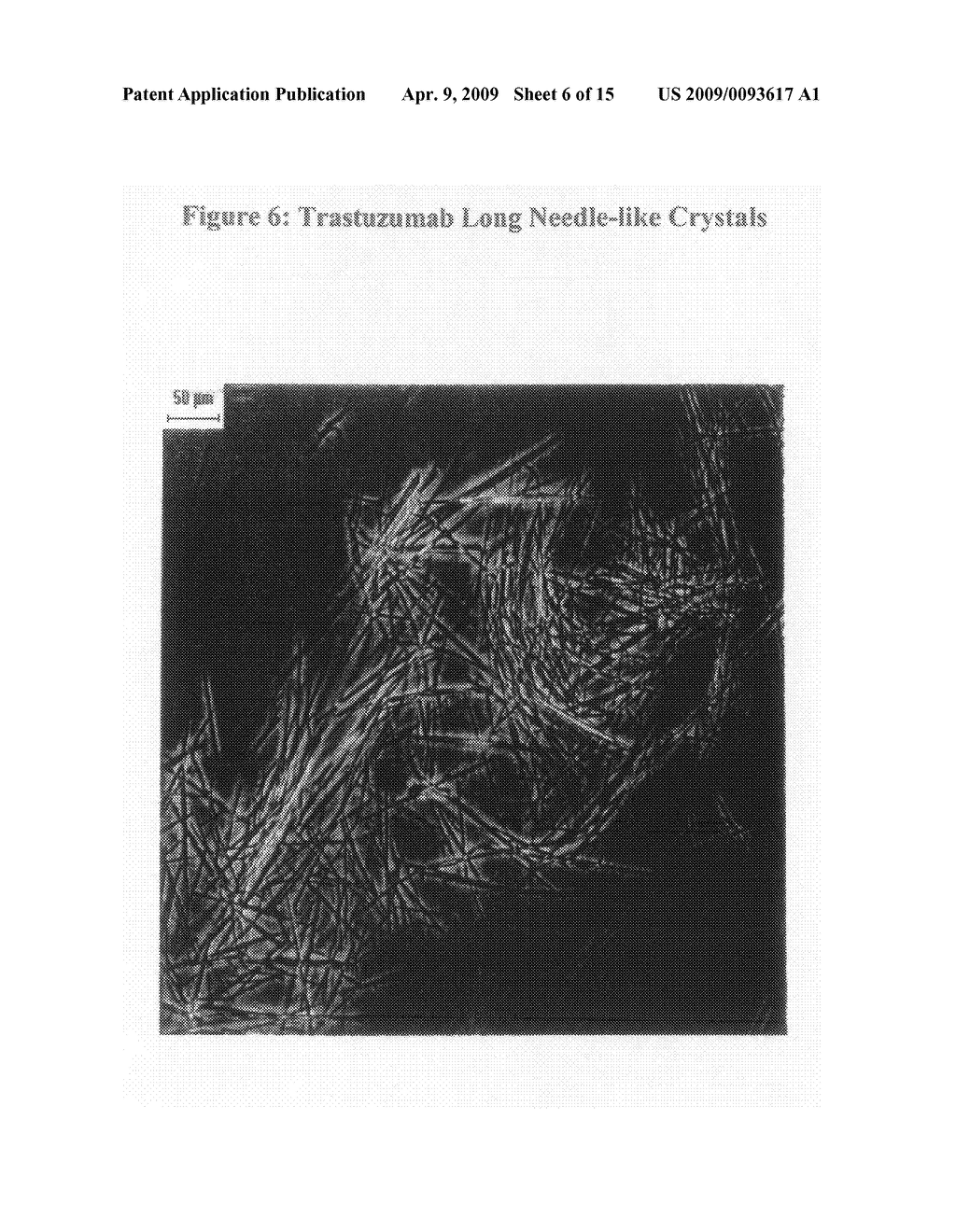 Crystals of whole antibodies and fragments thereof and methods for making and using them - diagram, schematic, and image 07