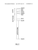 Coleopteran-Toxic Polypeptide Compositions And Insect-Resistant Transgenic Plants diagram and image