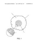 METHOD OF ENHANCING BEVERAGES BY MEANS OF A UNIQUE MICROENCAPSULATED DELIVERY SYSTEM diagram and image