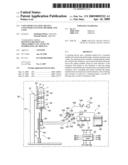 Container cleaning device, container cleaning method, and tank diagram and image