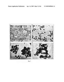SOLID PARTICLES FROM CONTROLLED DESTABILISATION OF MICROEMULSIONS diagram and image