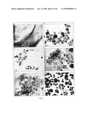 SOLID PARTICLES FROM CONTROLLED DESTABILISATION OF MICROEMULSIONS diagram and image