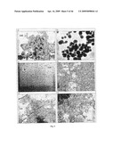 SOLID PARTICLES FROM CONTROLLED DESTABILISATION OF MICROEMULSIONS diagram and image