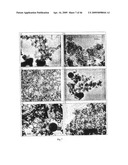 SOLID PARTICLES FROM CONTROLLED DESTABILISATION OF MICROEMULSIONS diagram and image