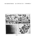 SOLID PARTICLES FROM CONTROLLED DESTABILISATION OF MICROEMULSIONS diagram and image