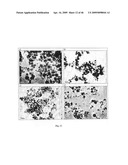 SOLID PARTICLES FROM CONTROLLED DESTABILISATION OF MICROEMULSIONS diagram and image