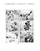 SOLID PARTICLES FROM CONTROLLED DESTABILISATION OF MICROEMULSIONS diagram and image