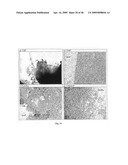 SOLID PARTICLES FROM CONTROLLED DESTABILISATION OF MICROEMULSIONS diagram and image