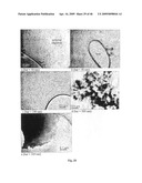 SOLID PARTICLES FROM CONTROLLED DESTABILISATION OF MICROEMULSIONS diagram and image