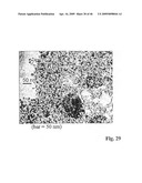 SOLID PARTICLES FROM CONTROLLED DESTABILISATION OF MICROEMULSIONS diagram and image