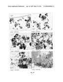 SOLID PARTICLES FROM CONTROLLED DESTABILISATION OF MICROEMULSIONS diagram and image