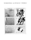 SOLID PARTICLES FROM CONTROLLED DESTABILISATION OF MICROEMULSIONS diagram and image