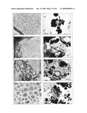 SOLID PARTICLES FROM CONTROLLED DESTABILISATION OF MICROEMULSIONS diagram and image