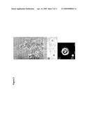 CALCIUM BINDING PEPTIDES diagram and image