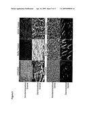 CALCIUM BINDING PEPTIDES diagram and image