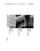 CALCIUM BINDING PEPTIDES diagram and image