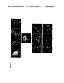 CALCIUM BINDING PEPTIDES diagram and image