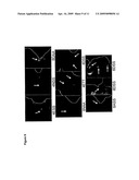 CALCIUM BINDING PEPTIDES diagram and image