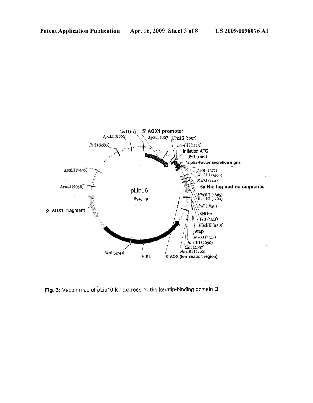 Method For the Production of a Keratin-Binding Effector Molecule - diagram, schematic, and image 04