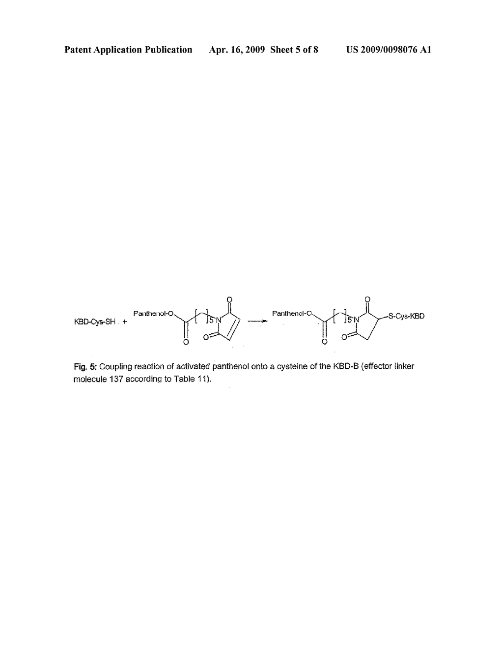 Method For the Production of a Keratin-Binding Effector Molecule - diagram, schematic, and image 06