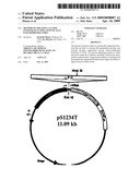 METHOD OF TREATING LACTOSE INTOLERANCE USING GENETICALLY ENGINEERED BACTERIA diagram and image