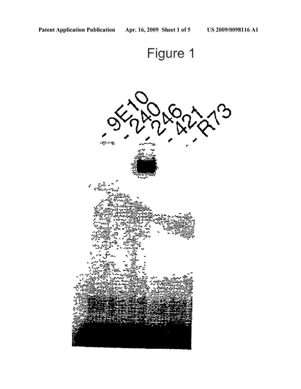 IMMUNOGENIC COMPOSITIONS FOR INDUCTION OF ANTI-TUMOR IMMUNITY - diagram, schematic, and image 02