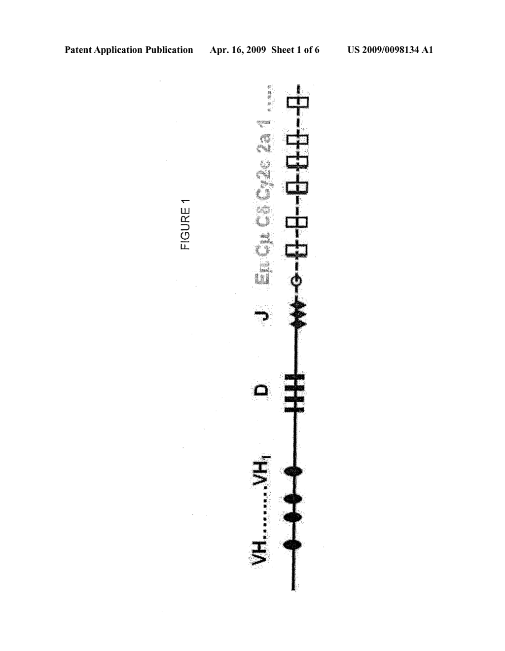 COMPOSITIONS AND METHODS FOR INHIBITING ENDOGENOUS IMMUNOGLOBULIN GENES AND PRODUCING TRANSGENIC HUMAN IDIOTYPE ANTIBODIES - diagram, schematic, and image 02