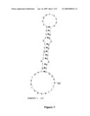 Vaccines Containing Canine Parvovirus Genetic Variants diagram and image