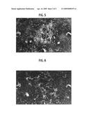 Feline Cell Capable of Being Cultured Without Animal-Derived Protein, and Method for producing virus and method for producing vaccine using thereof diagram and image