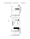 METHODS AND COMPOSITIONS FOR IMMUNIZATION AGAINST CHLAMYDIAL INFECTION AND DISEASE diagram and image