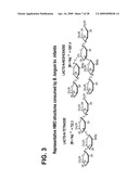 HUMAN MILK OLIGOSACCHARIDES TO PROMOTE GROWTH OF BENEFICIAL GUT BACTERIA diagram and image