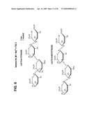 HUMAN MILK OLIGOSACCHARIDES TO PROMOTE GROWTH OF BENEFICIAL GUT BACTERIA diagram and image