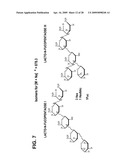 HUMAN MILK OLIGOSACCHARIDES TO PROMOTE GROWTH OF BENEFICIAL GUT BACTERIA diagram and image