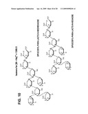 HUMAN MILK OLIGOSACCHARIDES TO PROMOTE GROWTH OF BENEFICIAL GUT BACTERIA diagram and image