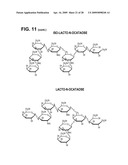 HUMAN MILK OLIGOSACCHARIDES TO PROMOTE GROWTH OF BENEFICIAL GUT BACTERIA diagram and image