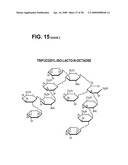 HUMAN MILK OLIGOSACCHARIDES TO PROMOTE GROWTH OF BENEFICIAL GUT BACTERIA diagram and image