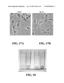 Methods of coating surfaces with nanoparticles and nanoparticle coated surfaces diagram and image