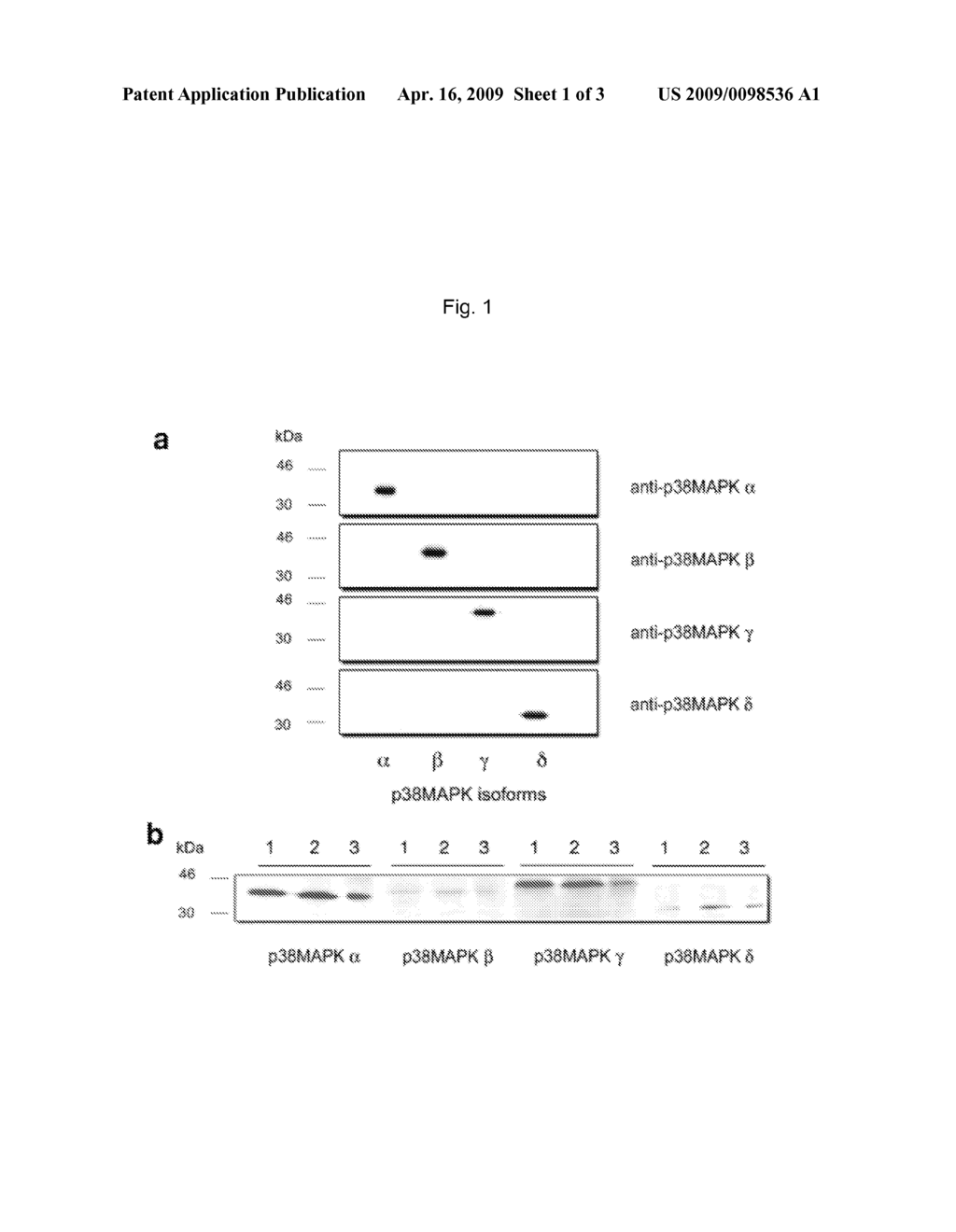 Method for subgroup analysis in subjects having or being suspected of having inflammatory disease, use of anti-p38MAPK antibodies, kits and their use - diagram, schematic, and image 02