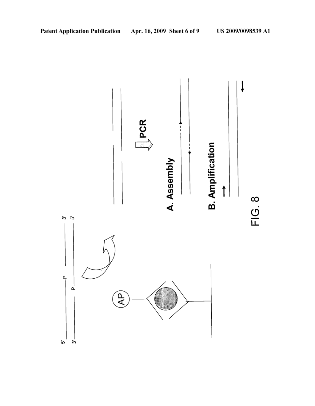 Methods and Kits for Detecting an Enzyme Capable of Modifying a Nucleic Acid - diagram, schematic, and image 07