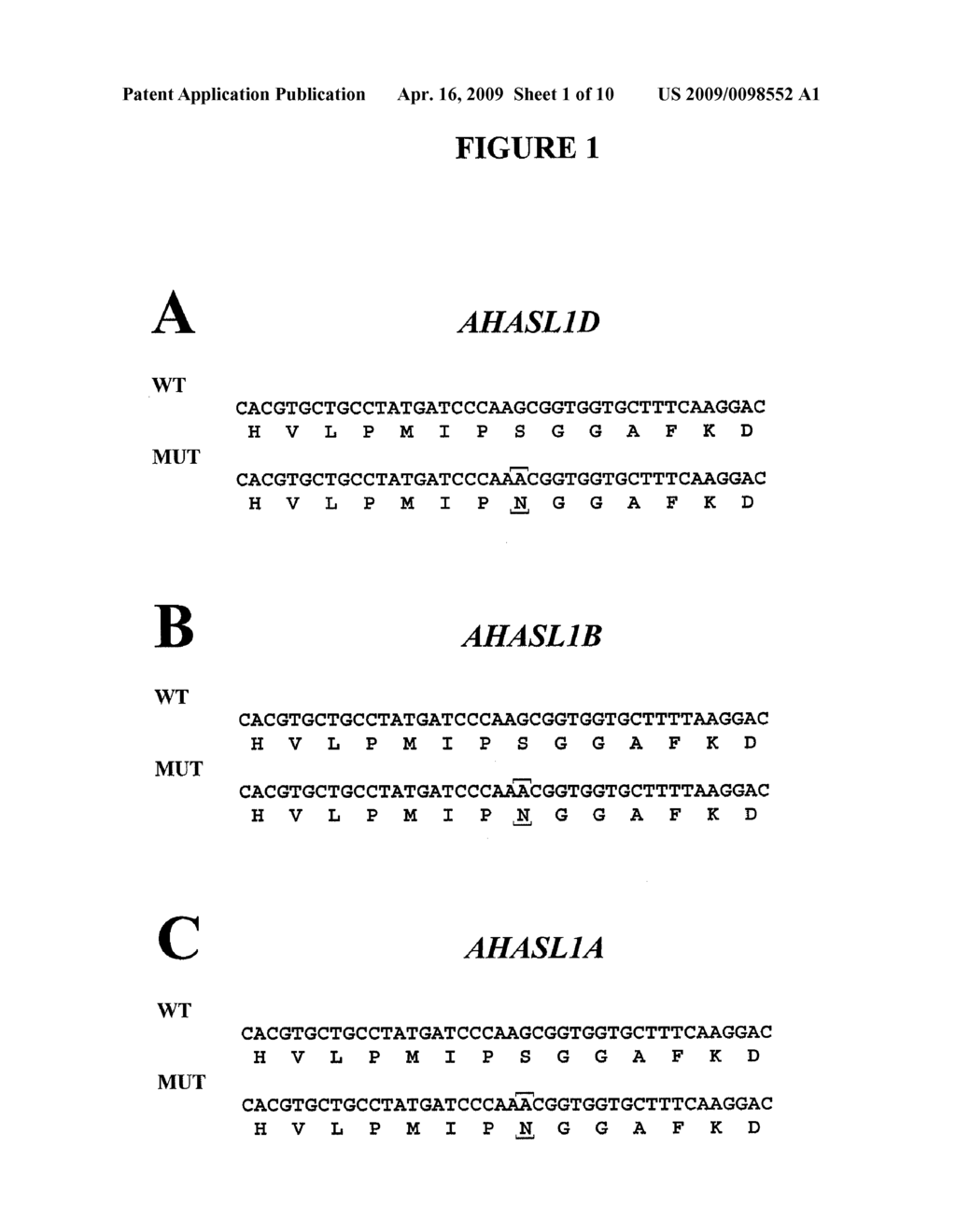 METHODS AND COMPOSITIONS FOR ANALYZING AHASL GENES - diagram, schematic, and image 02