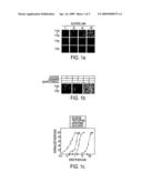 HUMAN T1R2 POLYPEPTIDE FUNCTIONAL ASSAYS diagram and image