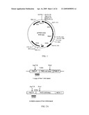 METHOD diagram and image