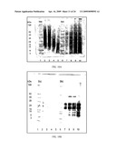 METHOD diagram and image