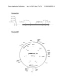 METHOD diagram and image