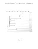 POLYPEPTIDES SHARING SEQUENCE IDENTITY WITH A FIBROBLAST GROWTH FACTOR POLYPEPTIDE AND NUCLEIC ACIDS ENCODING THE SAME diagram and image