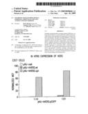 Synthetic gene encoding human epidermal growth factor 2/NEU antigen and uses thereof diagram and image