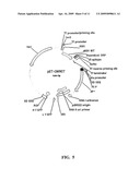 Self-cleaving affinity tags and methods of use diagram and image