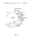 Self-cleaving affinity tags and methods of use diagram and image