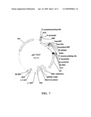 Self-cleaving affinity tags and methods of use diagram and image