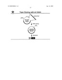 Self-cleaving affinity tags and methods of use diagram and image